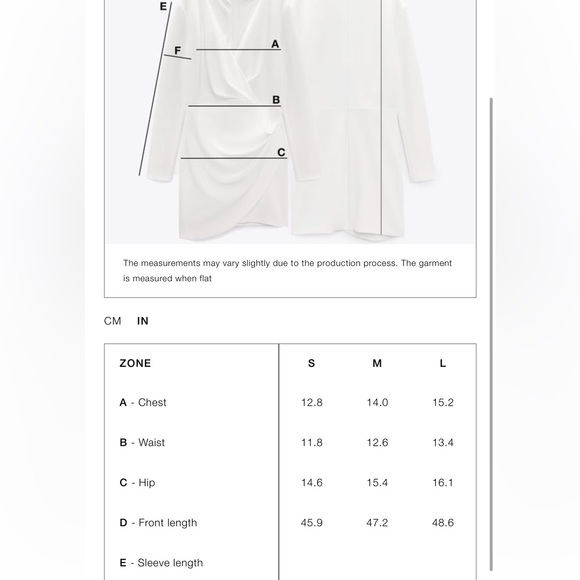 Zara Printed Tulle Dress - Picture 8 of 8